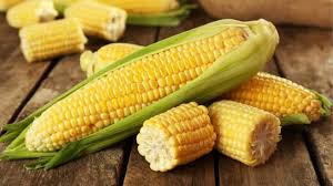 Mealie - Aselukhanyo SC
